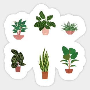 Potted Tropical House Plants with Striped Leaves Pack Sticker